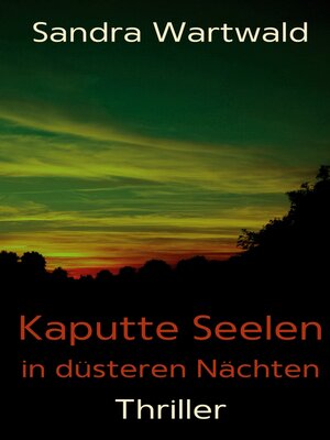 cover image of Kaputte Seelen in düsteren Nächten